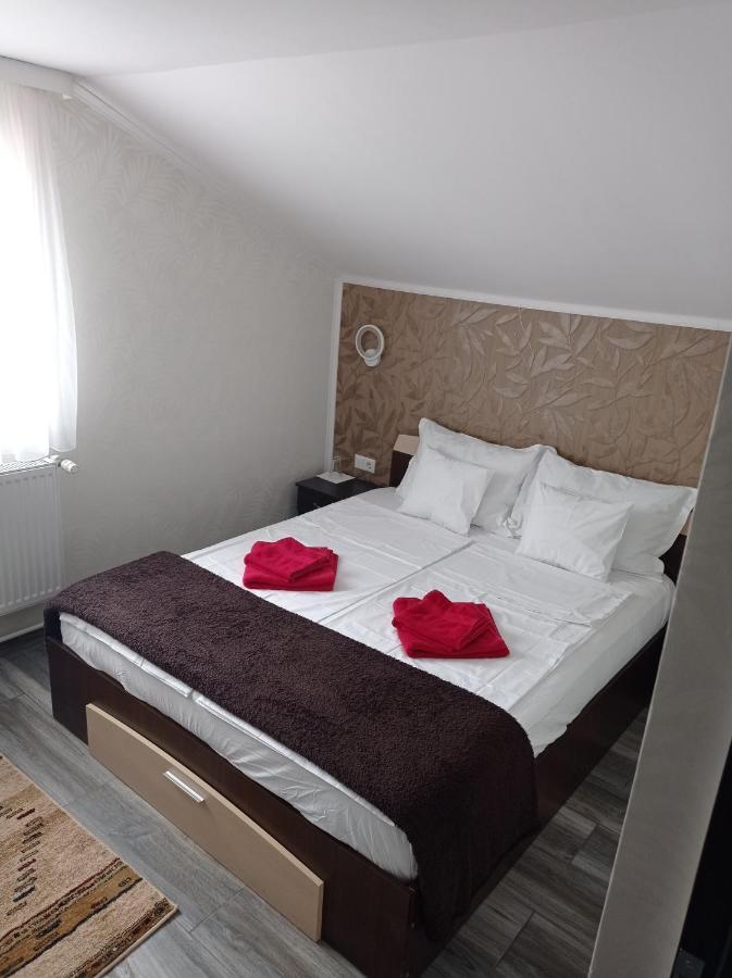 Casa Borza Hotel Alba Iulia Ngoại thất bức ảnh