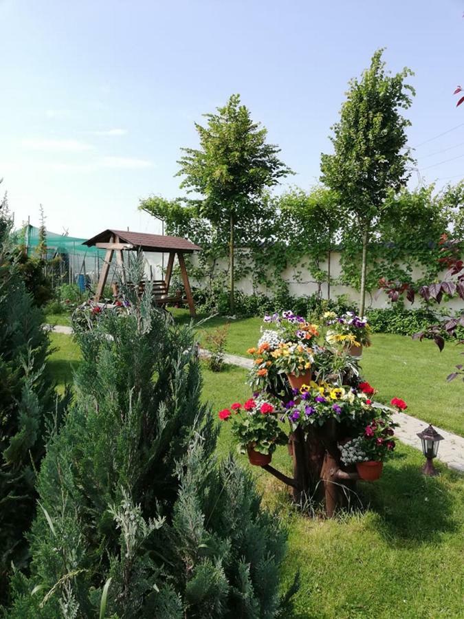 Casa Borza Hotel Alba Iulia Ngoại thất bức ảnh